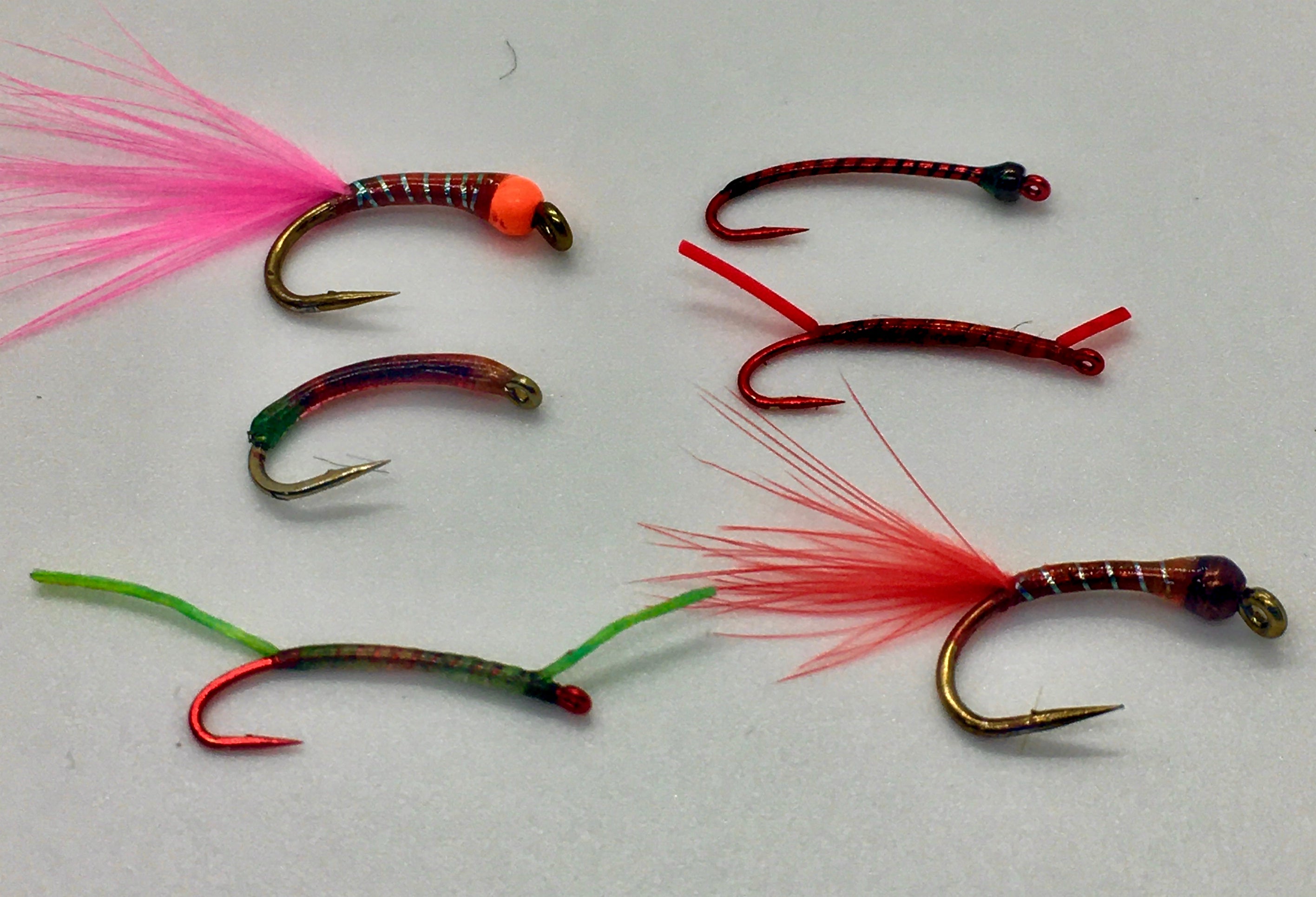 Top 6 Bloodworms  Washington Fly Fishing Forum